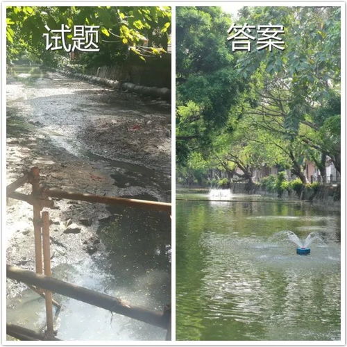 叮！這是東莞水污染治理的答卷，請(qǐng)您閱卷
